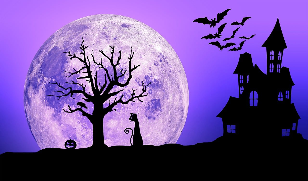 Magic Halloween Math Activities Made To Engage Your Middle Schoolers.